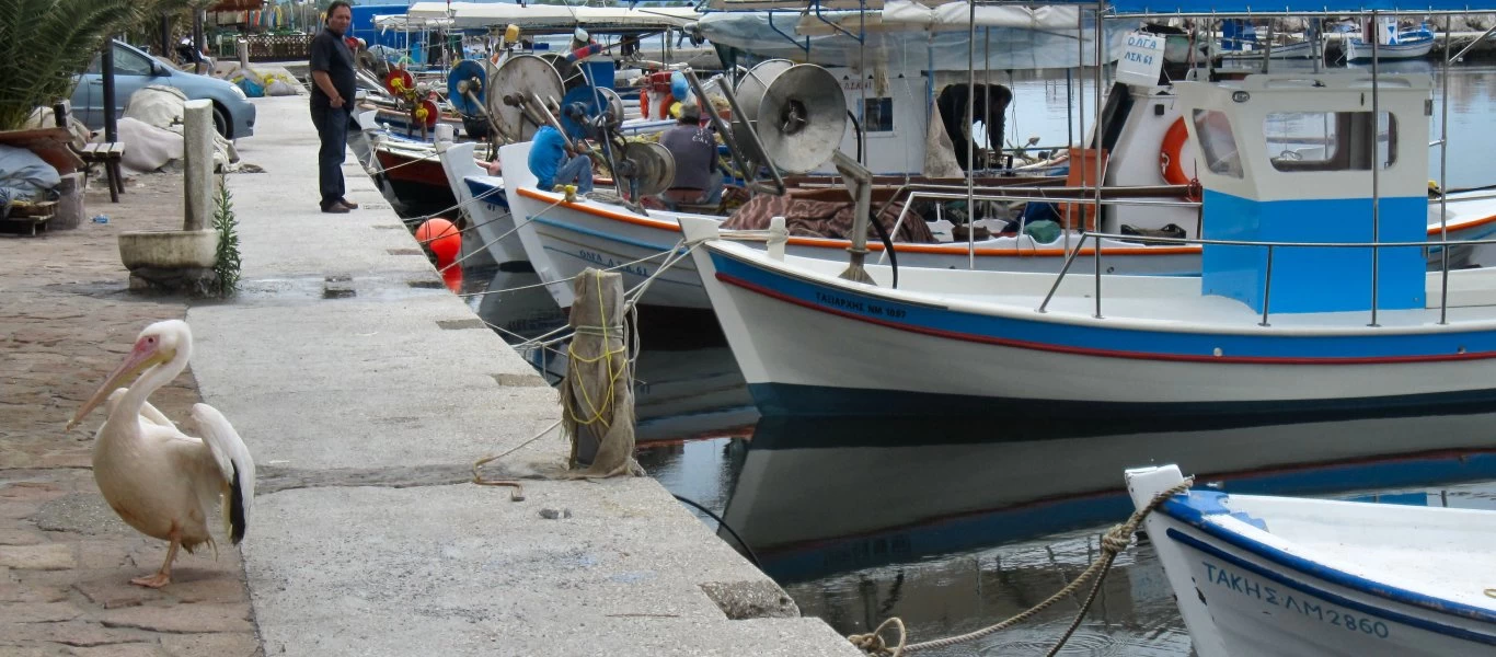 Εμπορικός Σύλλογος Καλλονής: Δωρεάν πρόσβαση στην ηλεκτρονική πλατφόρμα για ψηφιακές πωλήσεις (φωτό)